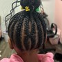 Poetic Justice Braids