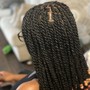 Takedown: Medium Box braid and knotless