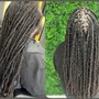 Starter Locs