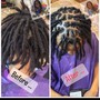 Starter Locs