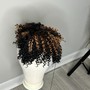 Comb Twist