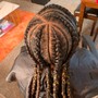 Feed-in Braids