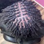 (Adult) Loc Retwist (Top with Shaved side)