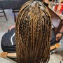 Half feed-in half box braids