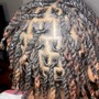 Starter Locs