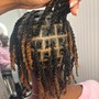 Loc Re-Twist and ANY STYLE OF CHOICE (FULL HEAD)