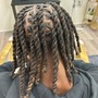 Adult Starter Locs (Half Head/High Fade)