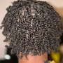 Starter Locs