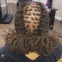 Starter Locs(own hair)