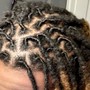 Bantu Knots w/Loc Retwist