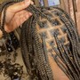 Fulani Braids Touch Up