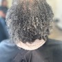 Root Touch Up