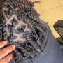 Starter locs