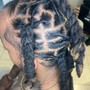 Starter locs