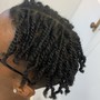 Natural Twists