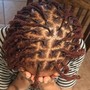 Box Braid TAKEDOWN