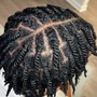 Starter Locs