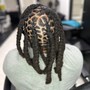 Twists, Individual Braids w/ Natural Hair