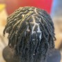 Starter Locs**