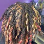 Starter Locs