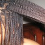 Takedown Medium Braids