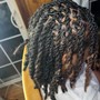 Loc Retwist