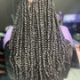 Passion Twist/Kinky Twist