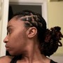 Two Strand Twist Updo