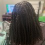 Kid's Braids/Twists (Natural)