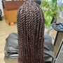 Senegalese Twist - Midback (Medium)