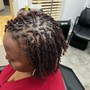 Root Touch Up