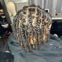 STARTER LOCS (medium/large)