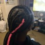 Individual Braids (natural hair)