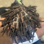 Starter locs