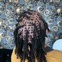 Loc Retwist