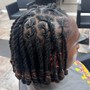 Mini Twists