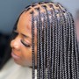 Fulani braids/Knotless plaits in the back