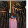 Senegalese Twist( Bra length