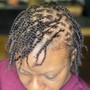 Starter Locs