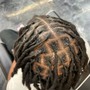 Top Half Starter Loc