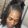 Micro Braids (Bob length Natural Hair)