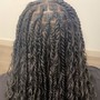 Medium Senegalese Twist