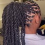 Feed In braids