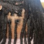 Two Strand Twist Locs