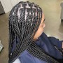 Fulani Braids