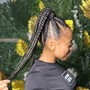 Feed in /Stitch Braids