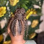 Feed in /Stitch Braids