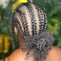 Feed in /Stitch Braids