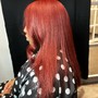 Versatile Sew In