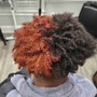 Root Touch Up